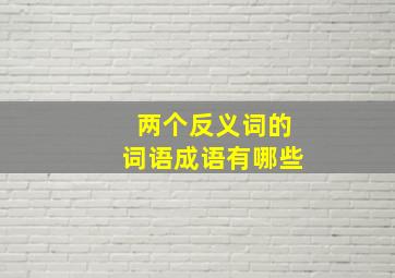 两个反义词的词语成语有哪些