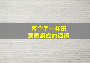 两个字一样的意思组成的词语