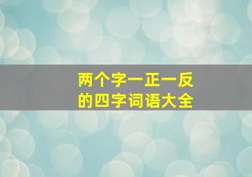 两个字一正一反的四字词语大全