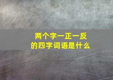 两个字一正一反的四字词语是什么