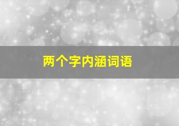 两个字内涵词语