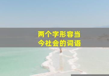 两个字形容当今社会的词语