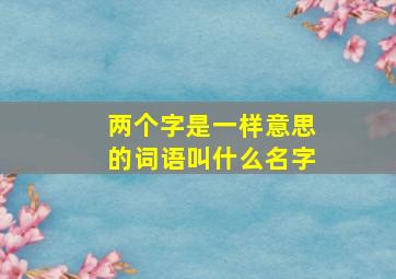 两个字是一样意思的词语叫什么名字