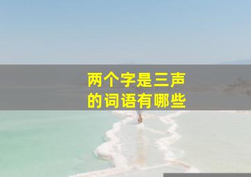 两个字是三声的词语有哪些