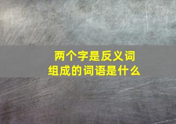 两个字是反义词组成的词语是什么