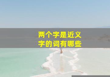 两个字是近义字的词有哪些