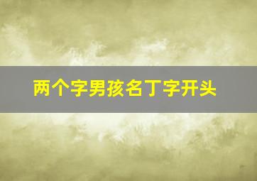 两个字男孩名丁字开头