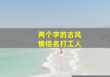 两个字的古风情侣名打工人