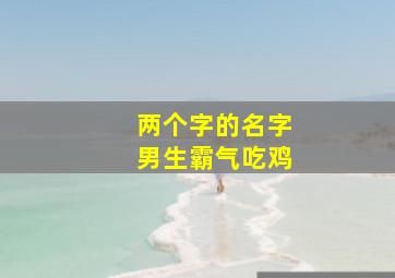 两个字的名字男生霸气吃鸡