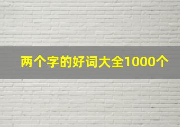 两个字的好词大全1000个