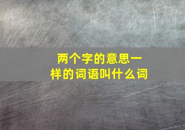 两个字的意思一样的词语叫什么词