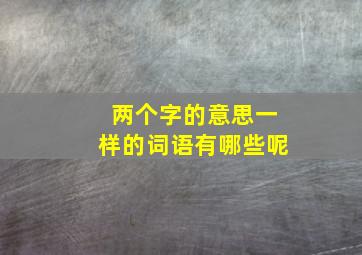 两个字的意思一样的词语有哪些呢