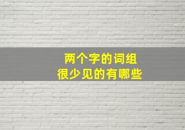 两个字的词组很少见的有哪些