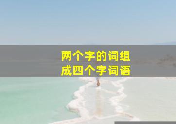 两个字的词组成四个字词语