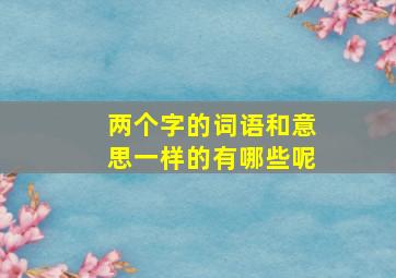 两个字的词语和意思一样的有哪些呢