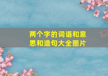 两个字的词语和意思和造句大全图片