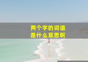 两个字的词语是什么意思啊