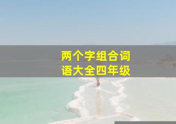 两个字组合词语大全四年级