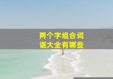 两个字组合词语大全有哪些