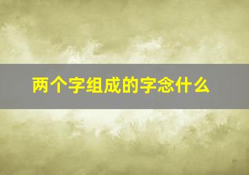 两个字组成的字念什么