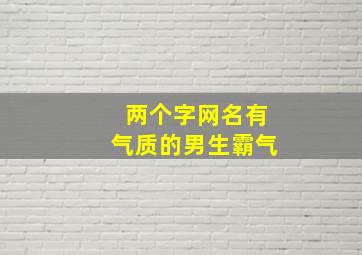 两个字网名有气质的男生霸气