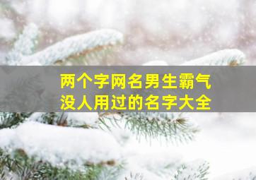 两个字网名男生霸气没人用过的名字大全