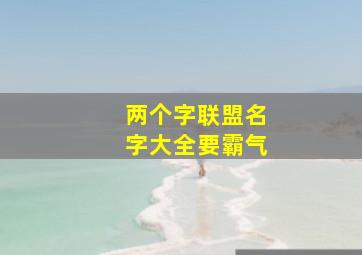 两个字联盟名字大全要霸气