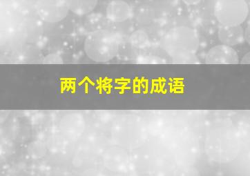 两个将字的成语