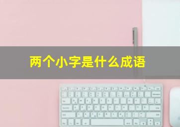 两个小字是什么成语