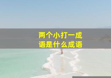 两个小打一成语是什么成语