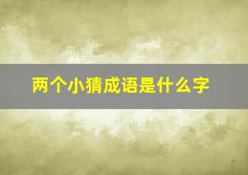 两个小猜成语是什么字