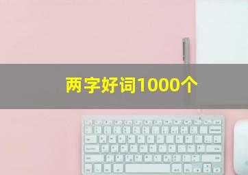 两字好词1000个