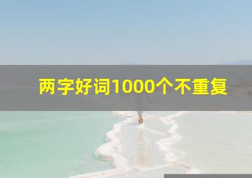 两字好词1000个不重复