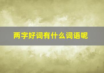 两字好词有什么词语呢