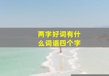 两字好词有什么词语四个字