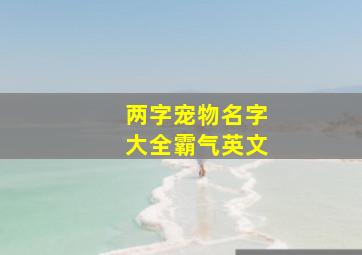 两字宠物名字大全霸气英文