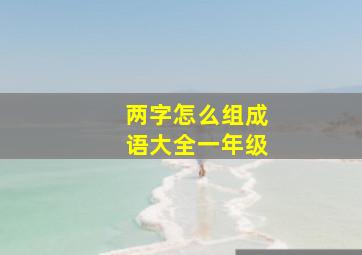 两字怎么组成语大全一年级