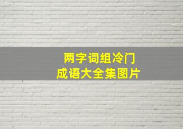 两字词组冷门成语大全集图片