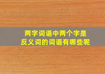 两字词语中两个字是反义词的词语有哪些呢