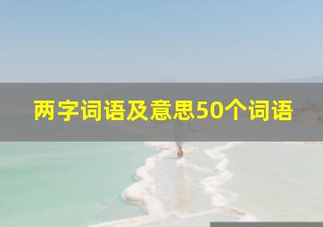 两字词语及意思50个词语