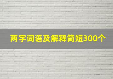 两字词语及解释简短300个