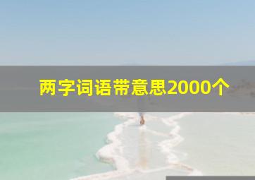 两字词语带意思2000个