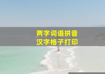 两字词语拼音汉字格子打印