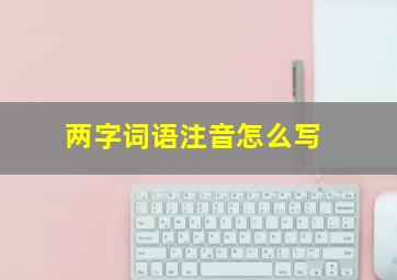 两字词语注音怎么写