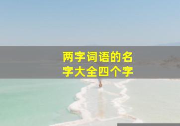 两字词语的名字大全四个字