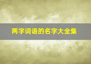 两字词语的名字大全集