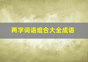 两字词语组合大全成语