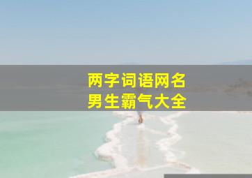 两字词语网名男生霸气大全