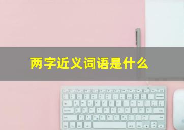 两字近义词语是什么