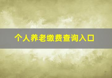 个人养老缴费查询入口